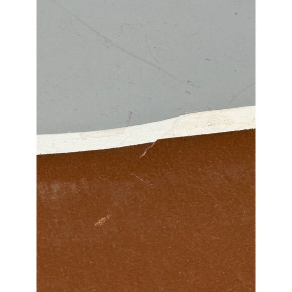 Vintage Equestrian Artwork Two Draft Horses Harness brown western 20.5x16" READ - Picture 6 of 10